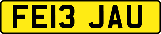FE13JAU