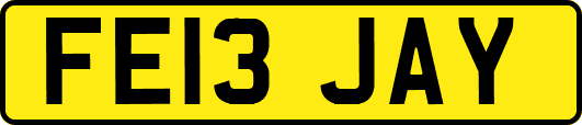 FE13JAY