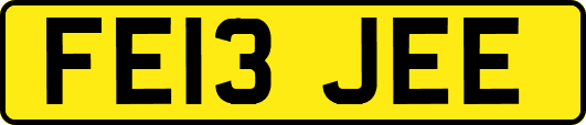 FE13JEE