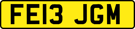 FE13JGM