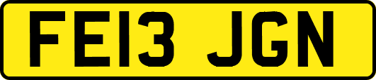 FE13JGN