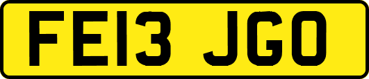 FE13JGO