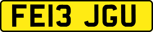 FE13JGU