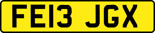 FE13JGX
