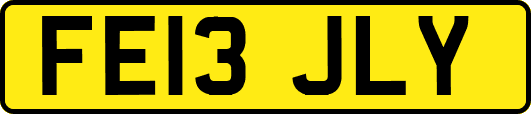 FE13JLY