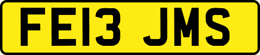 FE13JMS