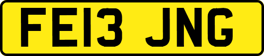 FE13JNG