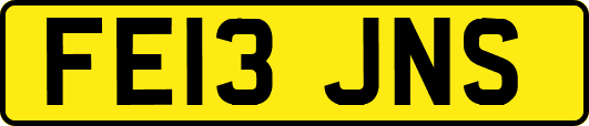 FE13JNS