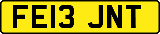 FE13JNT