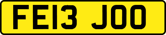 FE13JOO
