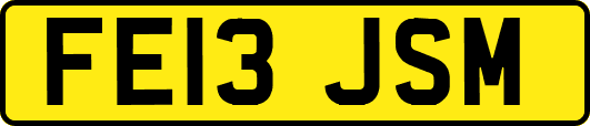 FE13JSM
