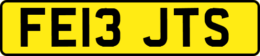 FE13JTS