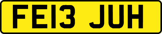 FE13JUH