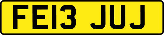 FE13JUJ