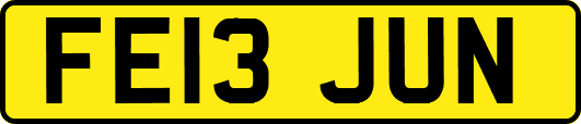 FE13JUN