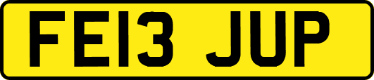 FE13JUP