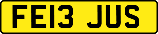 FE13JUS