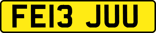 FE13JUU