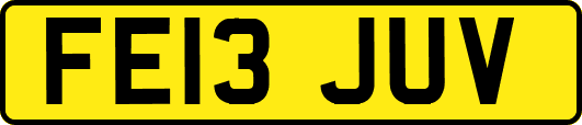 FE13JUV