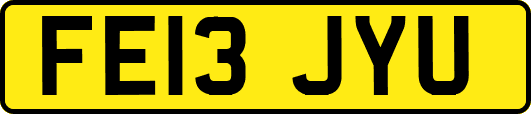 FE13JYU