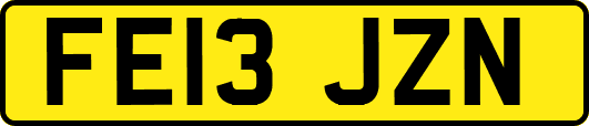 FE13JZN