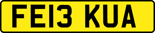 FE13KUA