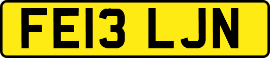 FE13LJN