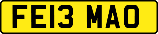 FE13MAO