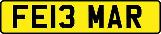 FE13MAR