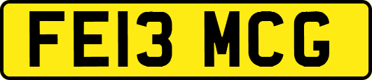 FE13MCG