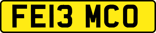 FE13MCO