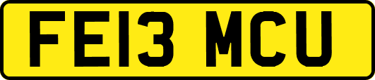 FE13MCU