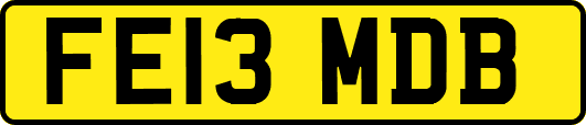 FE13MDB
