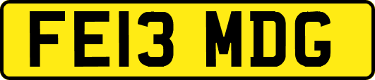 FE13MDG