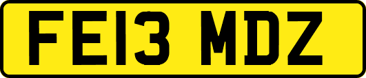 FE13MDZ