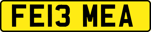 FE13MEA
