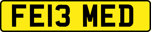 FE13MED