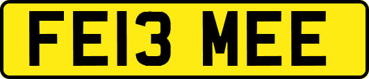 FE13MEE