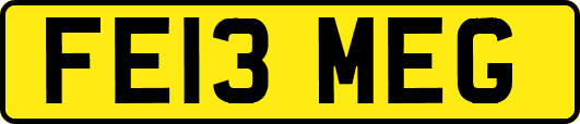 FE13MEG