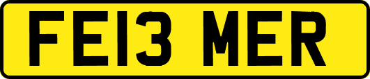 FE13MER