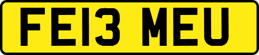 FE13MEU