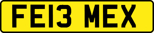 FE13MEX