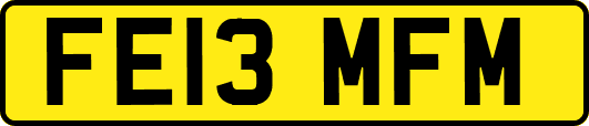 FE13MFM