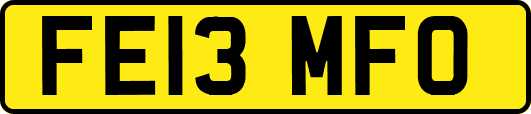 FE13MFO