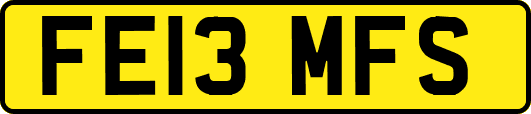 FE13MFS