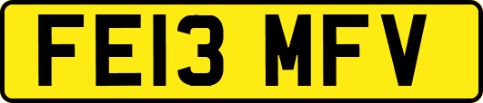 FE13MFV