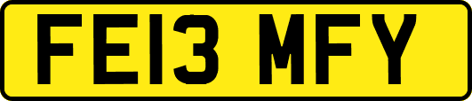 FE13MFY
