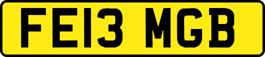 FE13MGB