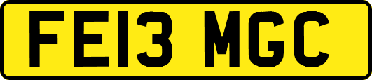 FE13MGC