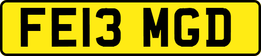 FE13MGD